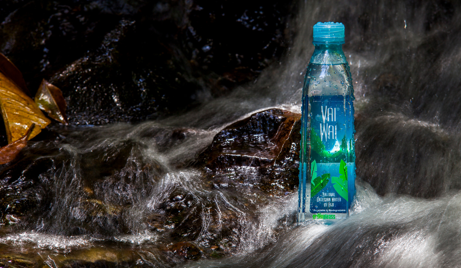 Water Bottle Manufacturer | Pristine Rainforest in Namosi Water